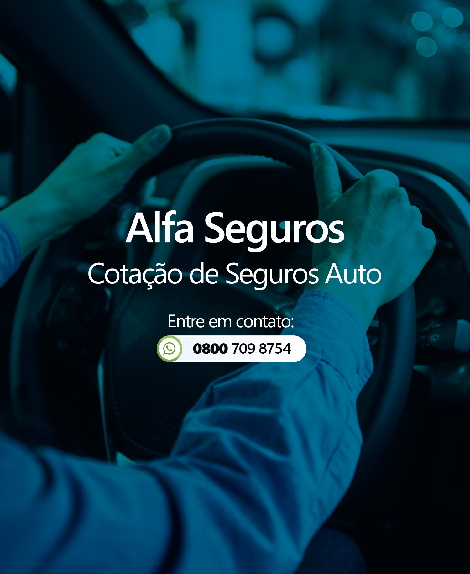 Alfa Seguro Celular